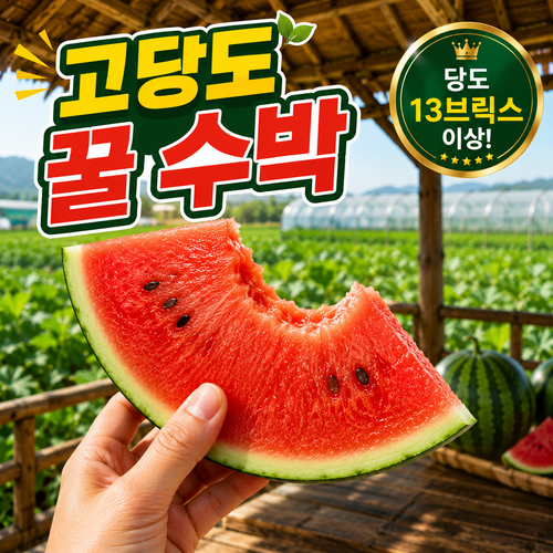 [복림원] 국내산 초고당도 초특가 하우스수박, 1개, 6kg