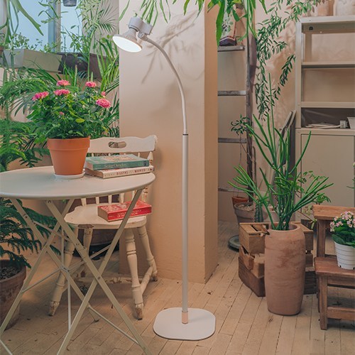 마녀박스 식물등 햇빛등 조명 무드등 인테리어조명 식물LED 식물생장 발육 24W WB-021, 햇빛등(WB-021) 원형 스탠드 세트