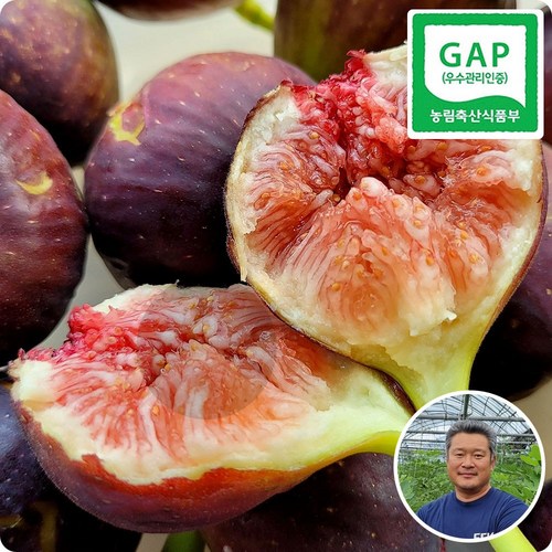 초록미소 당일수확 GAP 인증 해남 고당도 무화과, 1박스, 무화과 2팩(약 8~10과) / 약 750~900g