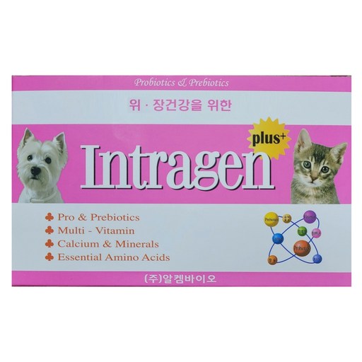 인트라젠 반려동물 플러스 영양제, 100회분, 장건강/유산균, 1개