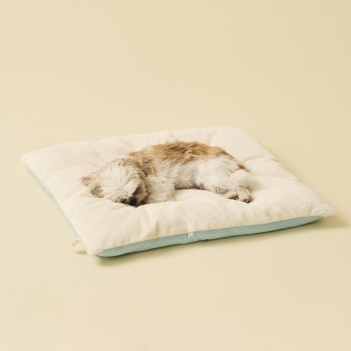 동원아르르 꿀잠 이불