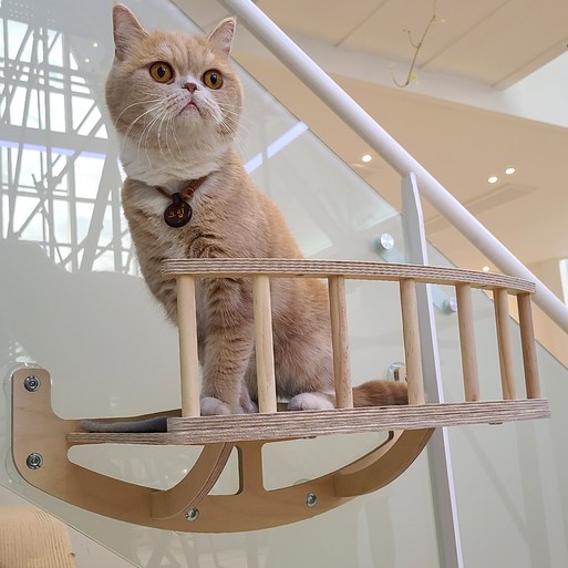 모넬로 윈도우 캣워커 대형 GO20220