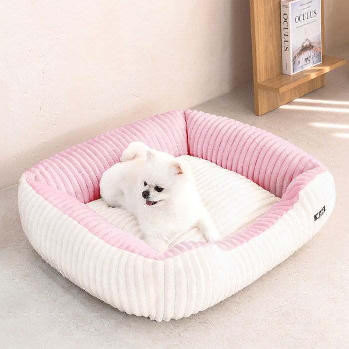 레토 강아지 코듀로이 사각 쿠션, 아이보리 아이보리, 1개