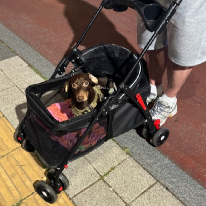 저상형 접이식 개유모차 강아지유모차 반려동물 폴딩형 개모차, 블랙, 1개