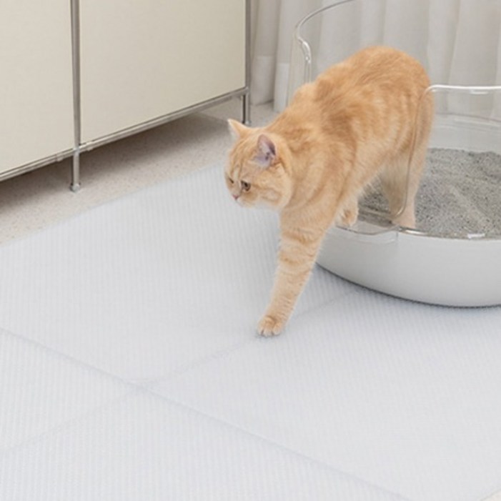 냥쌤 고양이 캐치매트 큐브타입