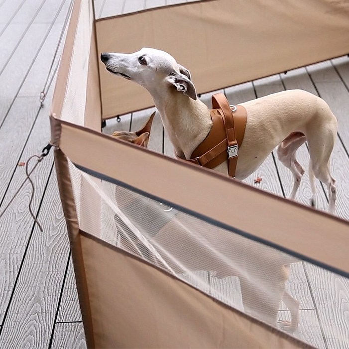 하웃 펫 울타리 올인원 2in1 데크에서도 땅에서도 강아지 펜스