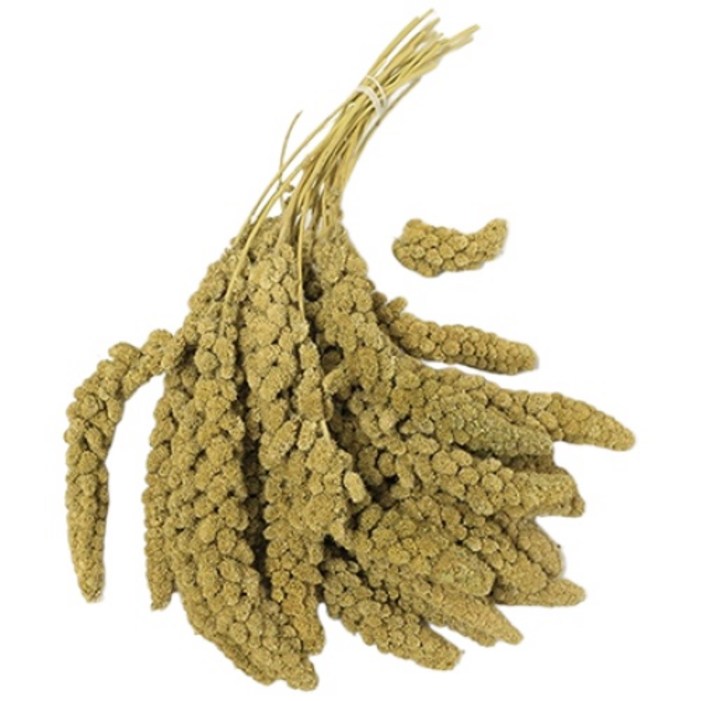 스프레이 밀렛 앵무새 간식