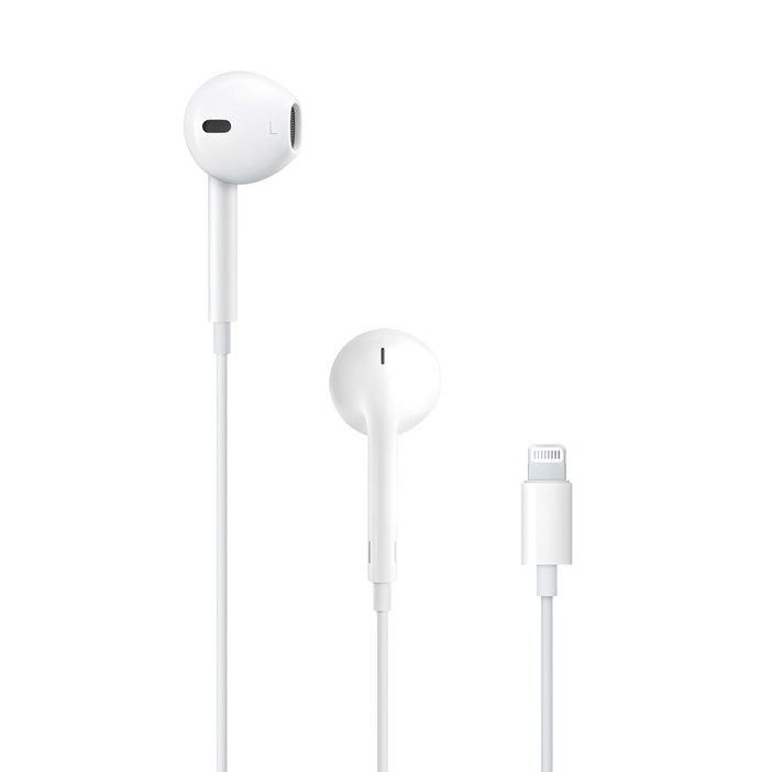 Apple 정품 라이트닝 이어팟, MWTY3ZPA