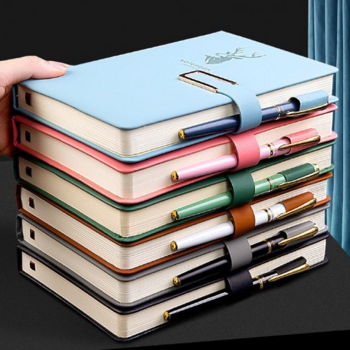 2025 다이어리 일기장 감사일기 산모수첩 육아 다꾸 비밀 하루일기, 1개, 버클 다이어리 스카이