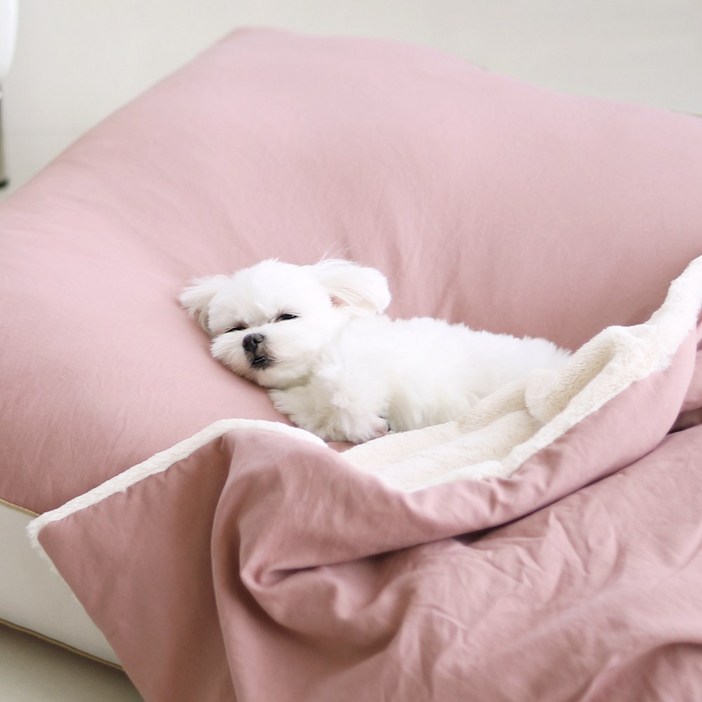 홈랩 알러지케어 강아지 겨울 이불 고양이 담요 베개세트 3colors 2size, 1개, 그린