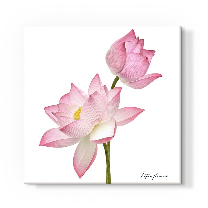 더 아트 컴퍼니 돈 들어오는 풍수 두꺼비집 가리개 30종 배전함 차단기 해바라기 사과 코끼리 자작나무 돈나무 커버 현관 그림 액자 인테리어, 18. 성취 연꽃