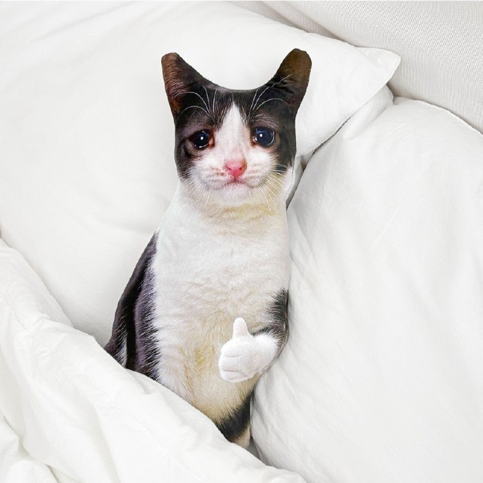 굴뚝강아지 반전 따봉냥 인형 쿠션