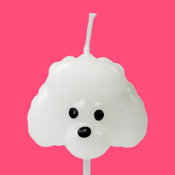 하얀 강아지 너무 귀여워 푸들 디자인 초, 5개, 5개, 20g, 푸들