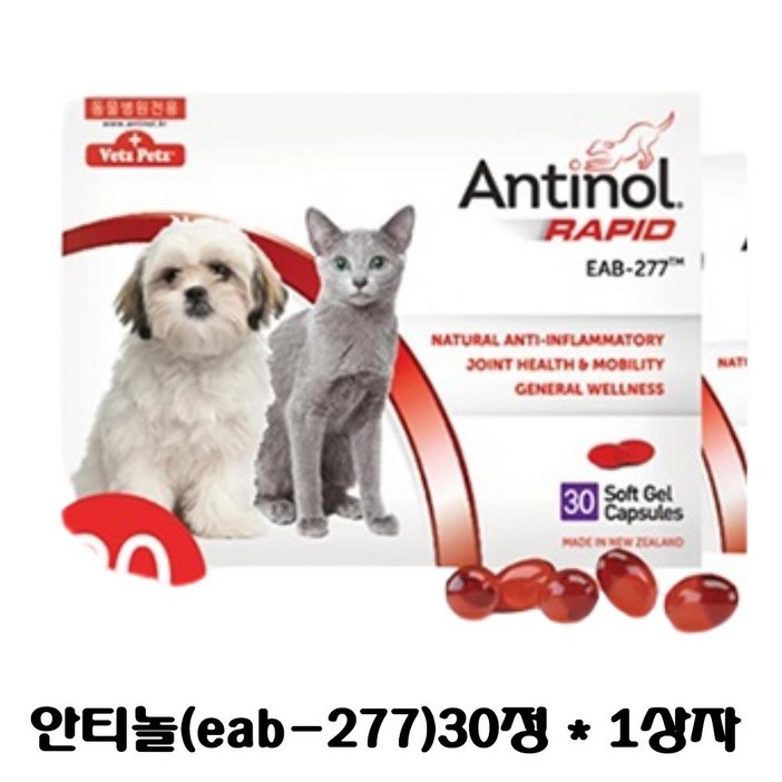 안티놀 래피드 30정 (강아지,고양이 관절영양제)