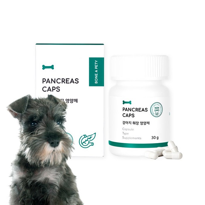본아페티 강아지 췌장염 영양제 판크레아스캡스 60정