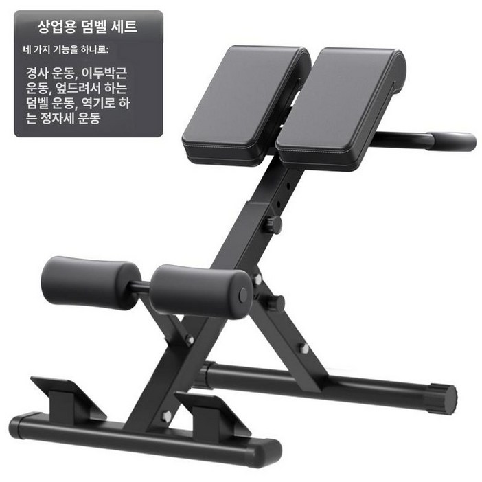 익스텐션 힙업 뱃살 레그익스텐션 허리 글루트 가정용 피트니스 운동 빼기 스쿼트 기구 실내