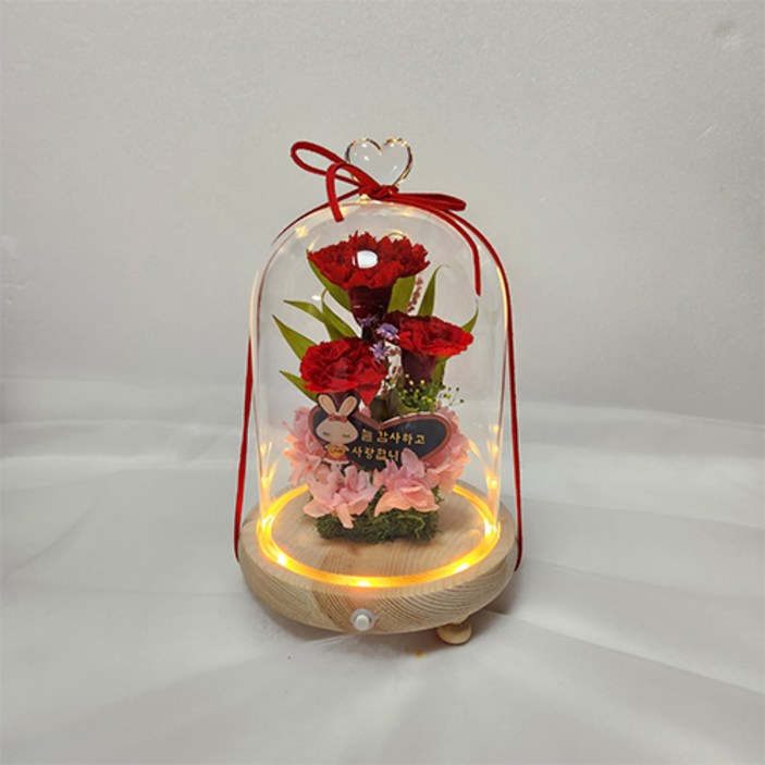 꽃무드등 어버이날 카네이션 LED무드등 생화 부모님 꽃선물 인테리어 조명 프리저브드 꽃 생일선물, 분홍 카네이션