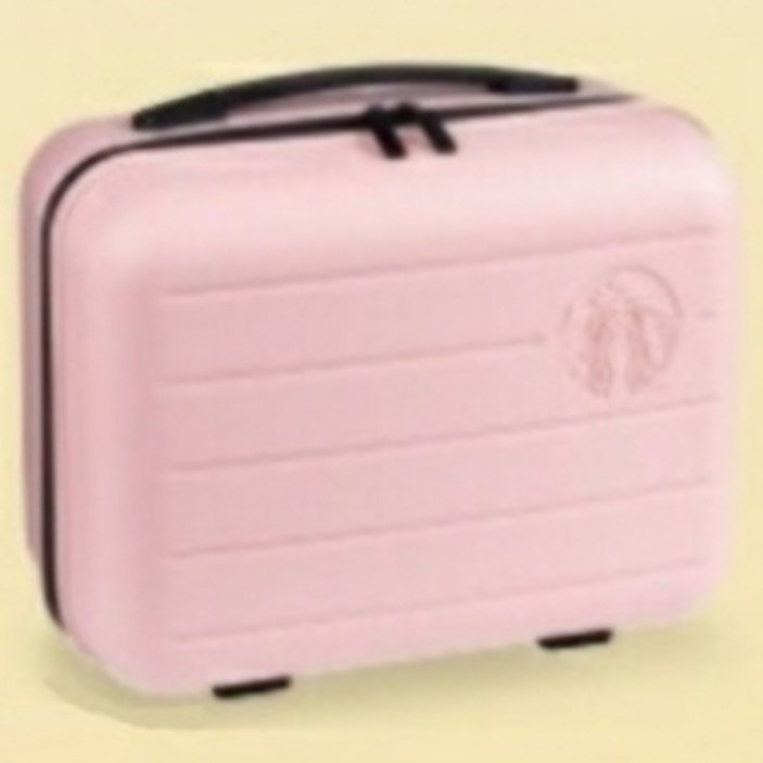 스타벅스 한국 서머 레디백 캐리어 서머 체어