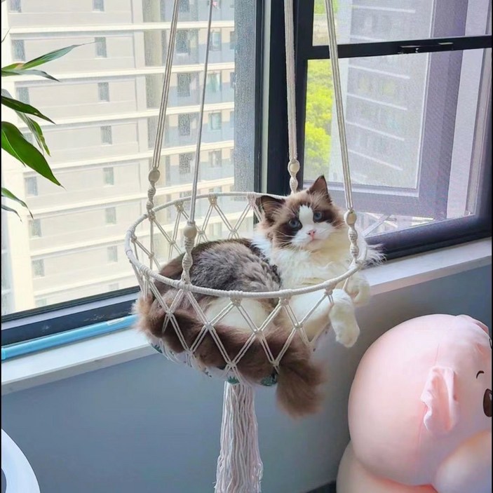 고양이 해먹 캣하우스 침대 그네 냥이 반려모 숨숨집 바구니 캣타워 방석 미포함