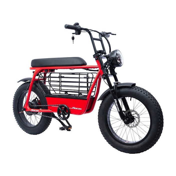 전기자전거  Velo éelectrique 팻 타이어 스노우 애완동물 바구니 산악 48V12A