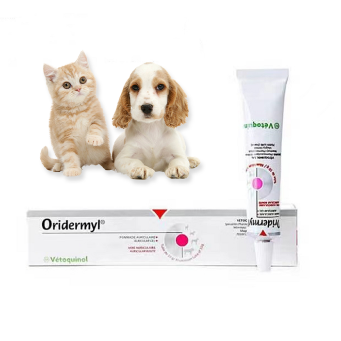 프랑스 수입 oridermyl 반려동물 귀 케어 연고 5통구입제한 A0351, 1개, 10g 프랑스 수입 oridermyl 반려동물 귀 케어 연고 5통구입제한 A0351, 1개, 10g