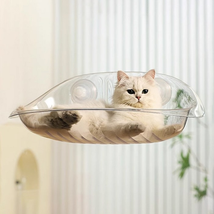 둥둥펫 강력흡착 고양이 힐링 투명해먹