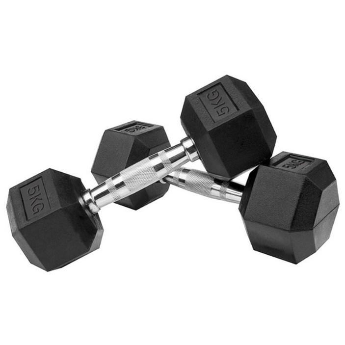 홈짐 홈트 PEV 헥사곤 덤벨 육각 아령, 2개, 5kg