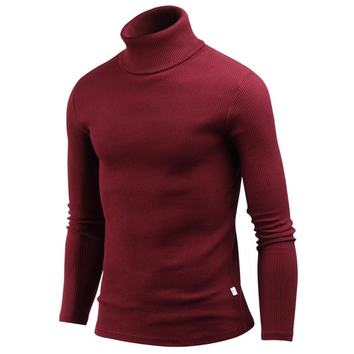 다꾸앙 남성용 슬렌더 골지 폴라티 ts2876