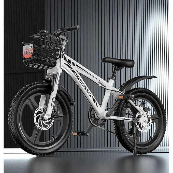 팻바이크 MTB 입문용 광폭자전거 바퀴큰 20인치 엠티비 산악 자전거 충격흡수 로드 라이딩