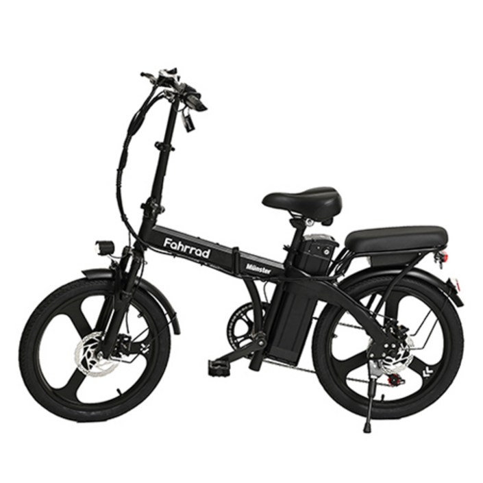 파라드 뮌스터 48V 500W 20Ah 접이식 전기자전거 50.8cm 고객직접설치, 무광 블랙, 스틸