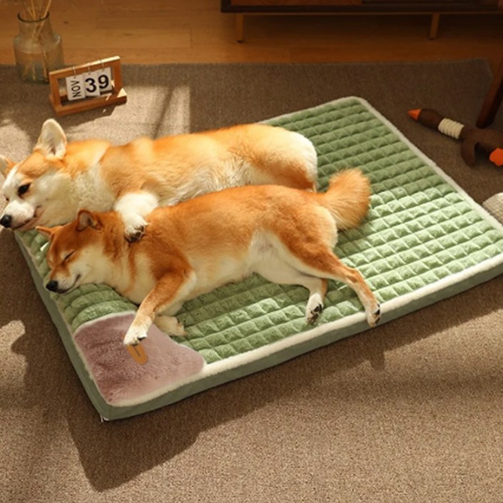 딩동펫 스너글 메모리폼 강아지 방석