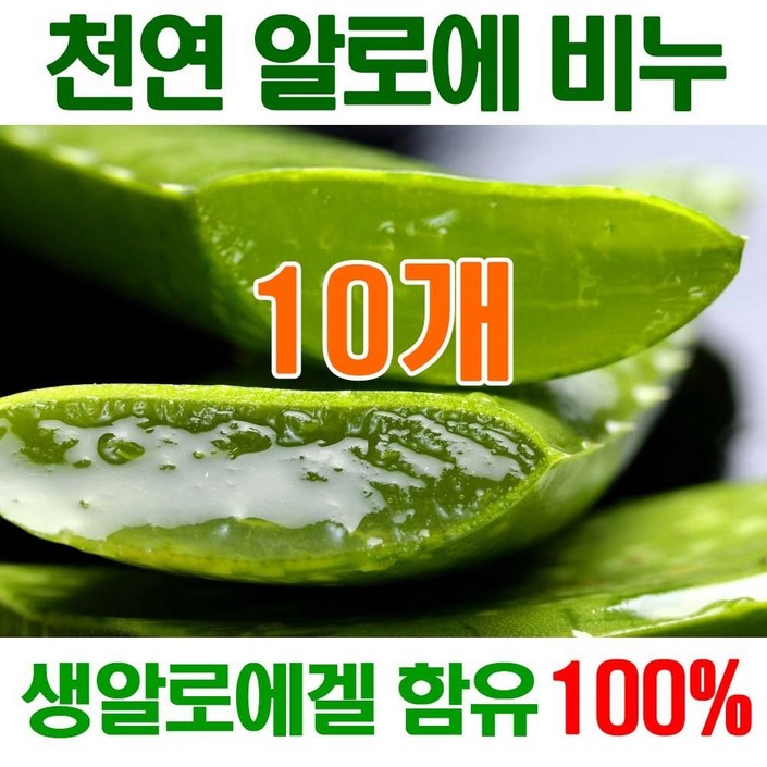 오후5시 당일발송 고농축 알로에비누 촉촉촉 보습진정 에너지 생 알로에천연비누 세수비누 비누 알로에 세안비누 천연 얼굴 YB맘, 100g, 10개 오후5시 당일발송 고농축 알로에비누 촉촉촉 보습진정 에너지 생 알로에천연비누 세수비누 비누 알로에 세안비누 천연 얼굴 YB맘, 100g, 10개