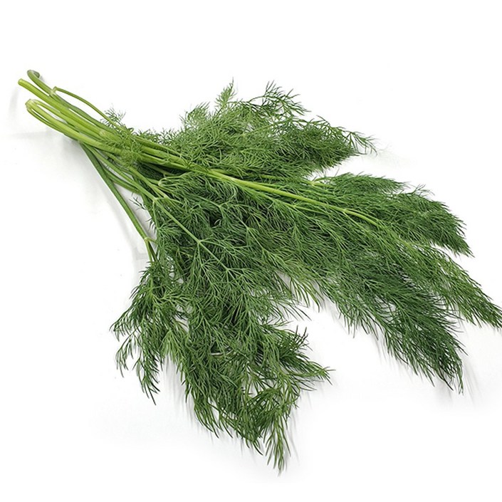 야채왕 허브 생잎 딜 100g 향신료, 100g, 1개