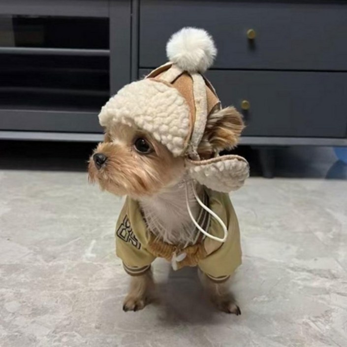 하니펫 반려동물 강아지 군밤 모자, 1개, 브라운