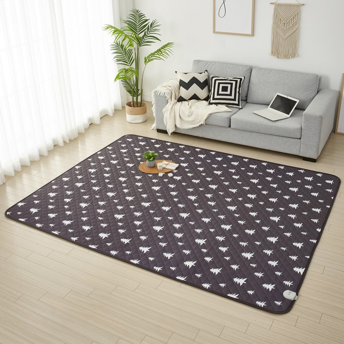 더안 EMF 캠핑 생활방수 전기장판 DH2020, 차콜그레이, 200 x 300 cm