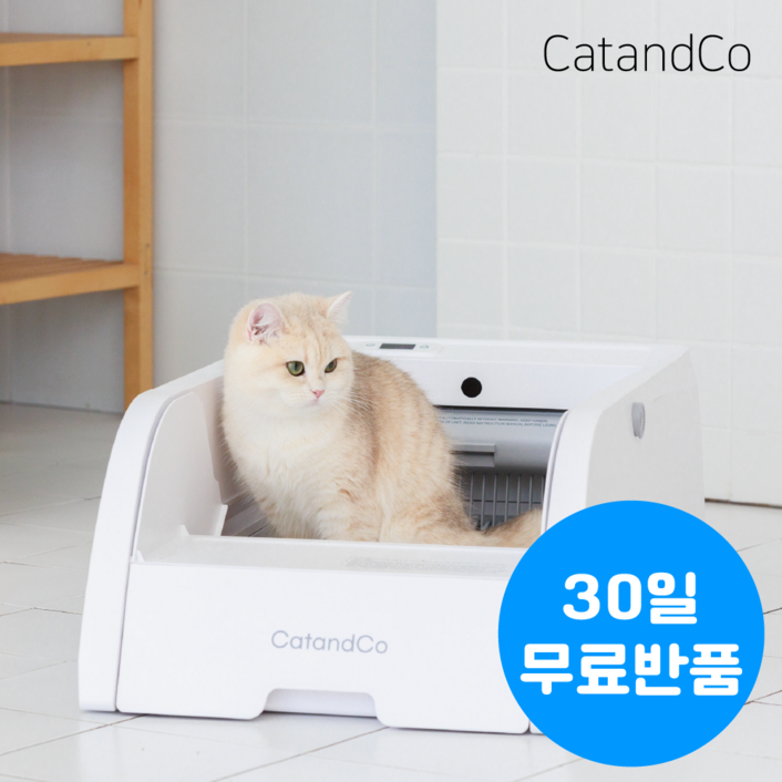캣앤코 고양이 오픈형 자동화장실 스마트 프리미엄 자동처리기 배변 저소음 화장실 청소 살균, 1개, 화이트 일반 캣앤코 고양이 오픈형 자동화장실 스마트 프리미엄 자동처리기 배변 저소음 화장실 청소 살균, 1개, 화이트 일반