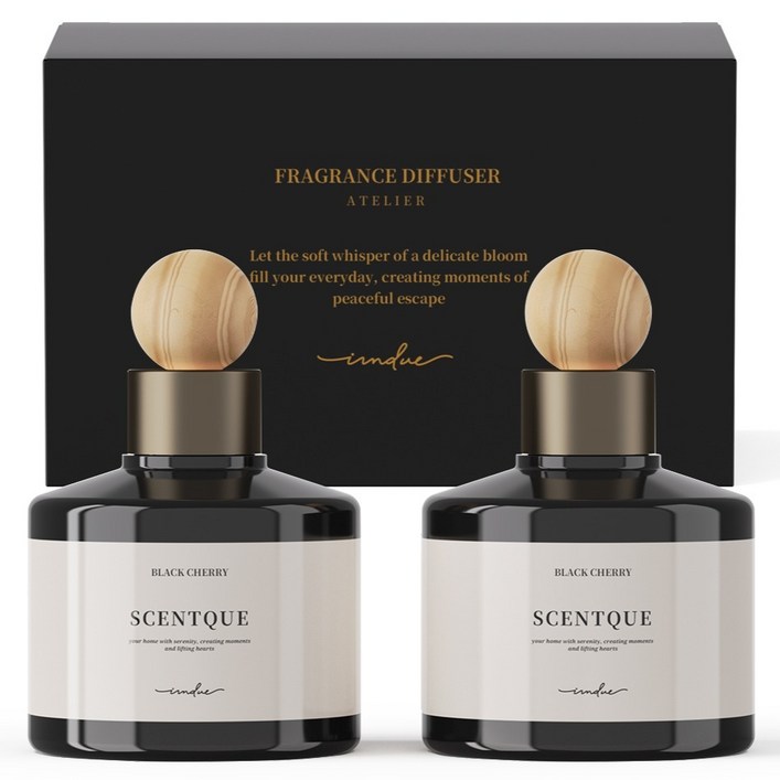 아이엠듀 프리미엄 퍼퓸 차량용 디퓨저 200ml x 2p, 블랙체리, 1개