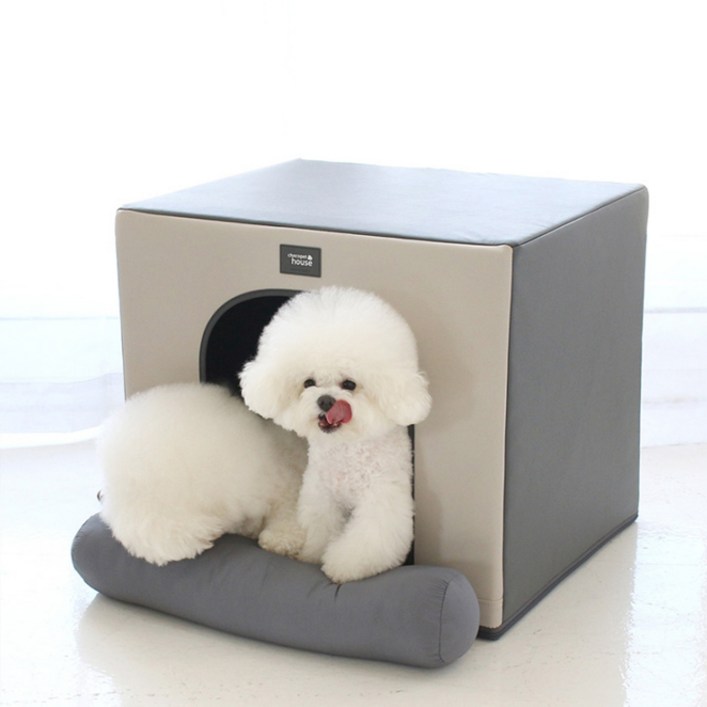 초코펫하우스 항균 365 에브리데이 강아지 하우스