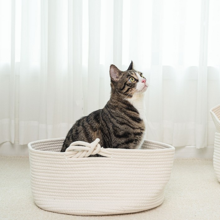 펫트리움 고양이 바구니 하우스 - 쇼핑앤샵