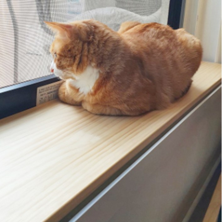 윈도캣 고양이 젤리보호 창틀덮개 창문틀막이 창가선반