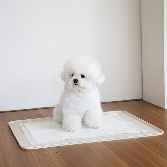 플리다스 착붙 실리콘 배변매트 논슬립 배변판 베이지 대형, 베이지, 1개