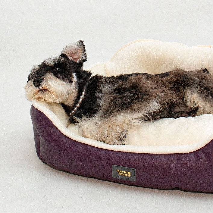 초코펫하우스 강아지 방석 쿠션 침대 로얄 사각 방석 2.0, 베이지