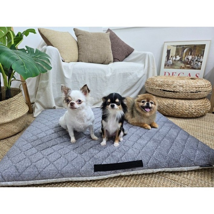 뽀윰이랑 겨울 극세사 강아지방석 강아지쿠션 강아지매트, 1개, 그레이 뽀윰이랑 겨울 극세사 강아지방석 강아지쿠션 강아지매트, 1개, 그레이