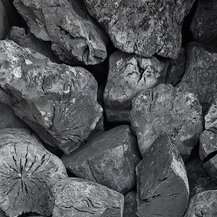 조인참숯 S 베트남커피나무 비장탄 10kg 튀지 않는 백탄 참숯 펜션 캠핑 바베큐 고기 대용량 업소용, 10kg, 1박스