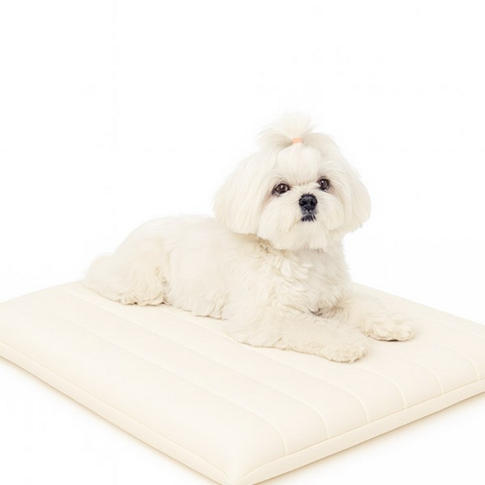 이브수 에어코일 펫 베드 슬개골 디스크 강아지 고양이 방석 쿠션, 999개, 아이보리