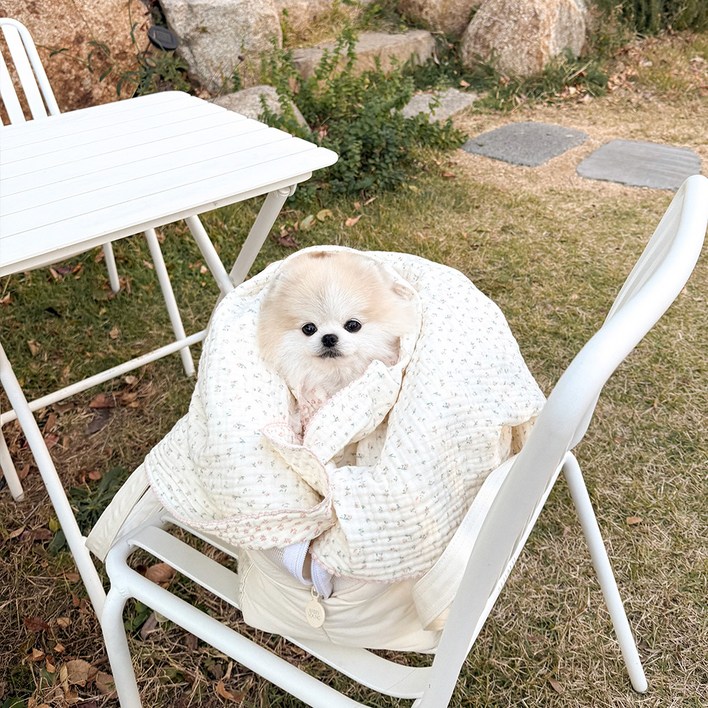 바비스영 반려동물 동화 속 블랭킷