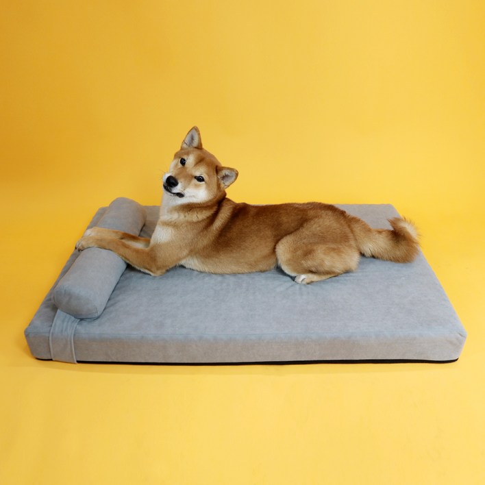 개과천선 강아지 독뱃 방석 침대 세트 강아지매트리스