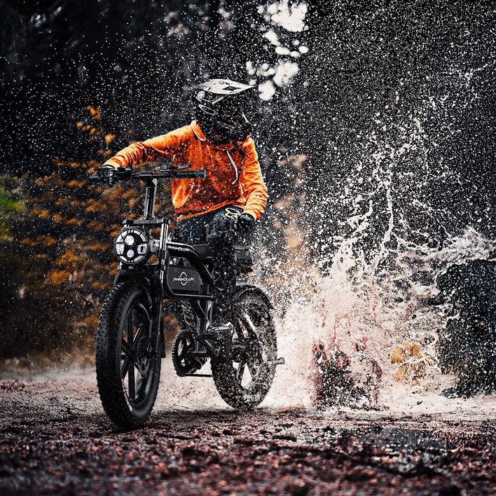 이트러스트 고출력 자토바이 전기자전거 20인치 팻바이크 오프로드 pas 출퇴근전기자전거 750w