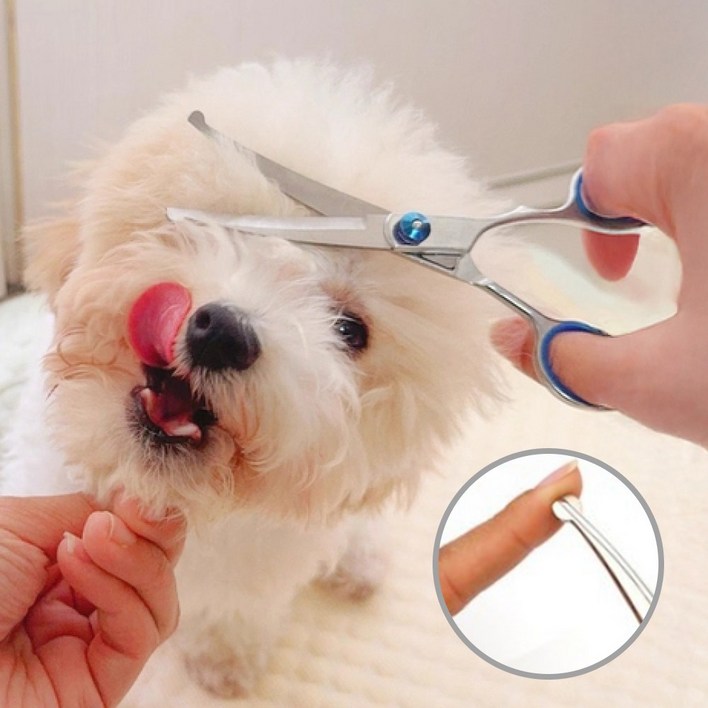 쿠종 잘 잘리고 안전한 애견 미용가위
