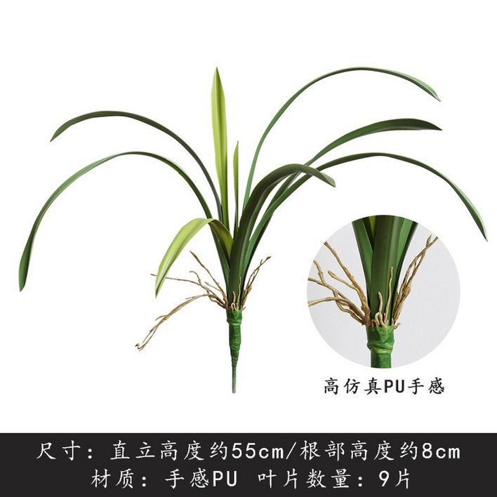 가벼운 촉감 보습 10 40g 오브 오드퍼퓸 본품 175ml 오르페옹 휴대용 27G2 가벼운 촉감 보습 10 40g 오브 오드퍼퓸 본품 175ml 오르페옹 휴대용 27G2